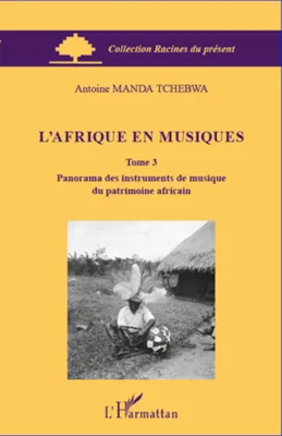 3, L'Afrique en musiques (Tome 3), Panorama des instruments de musique du patrimoine africain