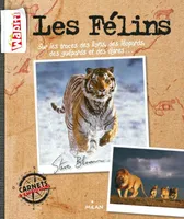 Carnets d'expéditions (ex : My big cats journal), sur les traces des lions, des léopards, des guépards et des tigres