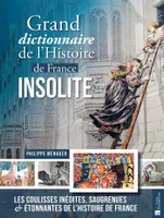 Grand dictionnaire de l'histoire de France insolite, Les coulisses inédites, saugrenues & étonnantes de l'histoire de france