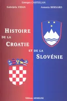 histoire de la croatie et de la slovenie, Histoire des Slaves du Sud-Ouest