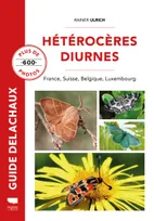 Hétérocères diurnes, France, suisse, belgique, luxembourg