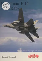 Grumman F-14 «Tomcat»