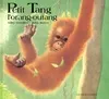 Petit Tang l'orang-outang