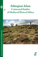 Ethiopian Islam, Connected studies of Medieval Horn of Africa