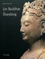 les buddhas du shandong, [exposition], Musée Cernuschi, Musée des arts de l'Asie de la Ville de Paris, du 18 septembre 2009 au 3 janvier 2010