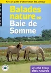 Baie de Somme 2000