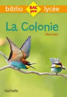 Bibliolycée Pro - La Colonie, Marivaux