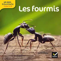Les Docs Ribambelle Cycle 2 éd. 2014 - Les fourmis