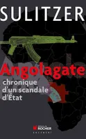 Angolagate, Chronique d'un scandale d'Etat