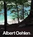 Albert Oehlen New Paintings /anglais