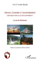 Energie, économie et environnement contradiction ou co-développement ?, Le cas du Cameroun