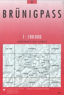 Carte nationale de la Suisse à 1:100 000, 37, BRUNIGPASS