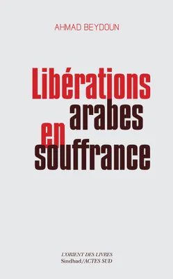 Libérations arabes en souffrance, Approches aléatoires d'une modernisation entravée