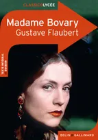 Madame Bovary, moeurs de province