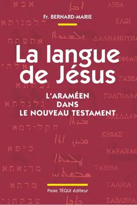 La langue de Jésus, L'araméen dans le nouveau testament