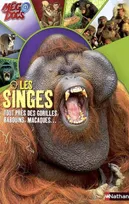 LES SINGES TOUT PRES DES GORILLES  BABOUINS  MACAQUES..., près des gorilles, babouins, macaques