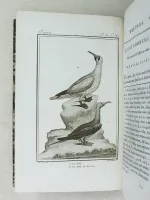 Histoire Naturelle des Oiseaux, par Leclerc de Buffon. Tome Vingt-Quatrième [ Tome 24 seul ] Rédigé par C.S. Sonnini