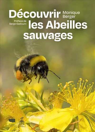 Livres Écologie et nature Nature Faune Découvrir les abeilles sauvages Monique Berger