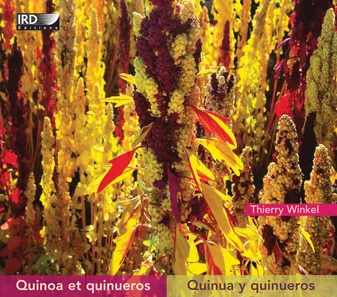 Quinoa et quinueros, Quinua y quinueros