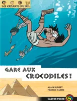 Les enfants du Nil, 14, Gare aux crocodiles !
