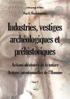 Industries, vestiges archéologiques et préhistoriques - Action aléatoire de la nature & Action intentionnelle de l'Homme - Volume VI