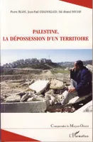 Palestine, la dépossession d'un territoire, la dépossession d'un territoire