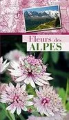 Fleurs des Alpes