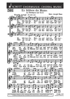 Es blühen die Maien, (Oberbayern und Tirol). female choir or children's choir (SMezA). Partition de chœur.