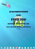 Je me perfectionne avec Excel 2010: graphique, consolidation, nom, plan, solveur, macros, fonctions