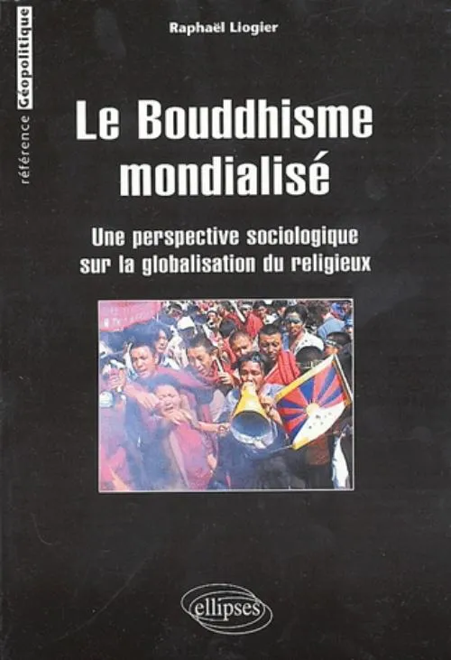 Livres Histoire et Géographie Géographie Le Bouddhisme mondialisé, une perspective sociologique sur la globalisation du religieux Raphaël Liogier