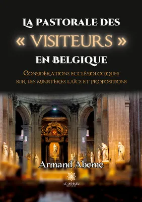 La pastorale des « visiteurs » en Belgique, Considérations ecclésiologiques sur les ministères laïcs et propositions