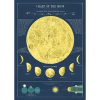 AFFICHE CHART OF THE MOON 50/70CM