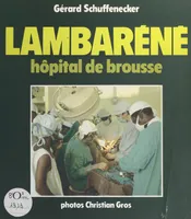 Lambaréné, Hôpital de brousse