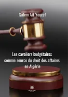 Cavaliers budgétaires comme source du droit des affaires en Algérie, Essai