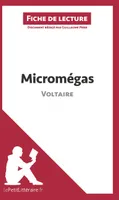 Micromégas de Voltaire (Fiche de lecture), Analyse complète et résumé détaillé de l'oeuvre