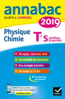 Annales Annabac 2019 Physique-chimie Tle S, sujets et corrigés du bac Terminale S