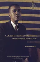 C.L.R James : racisme et lutte de classe, Une lecture des Jacobins noirs