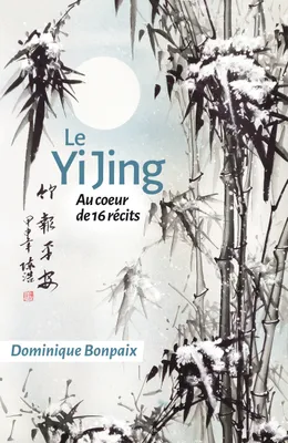 Le Yi Jing, Au coeur de seize récits