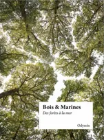 Bois et Marines, Des forêts à la mer
