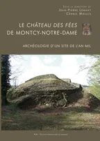 Le château des fées de Montcy-Notre-Dame, Archéologie d'un site de l'an Mil
