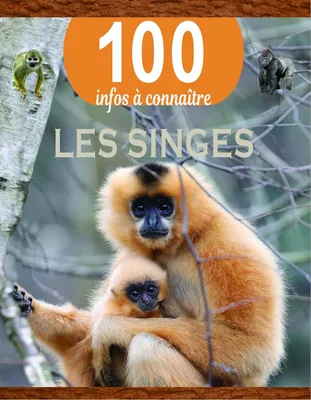 Les singes - 100 infos à connaître