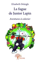 La fugue de Junior Lapin