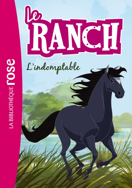 Jeux et Jouets Livres Livres pour les  6-9 ans Romans 3, Le ranch / L'indomptable Christelle Chatel