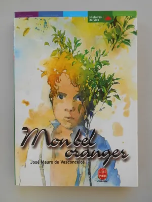 MON BEL ORANGER, histoire d'un petit garçon qui, un jour, découvrit la douleur