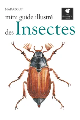 Mini guide illustré des insectes