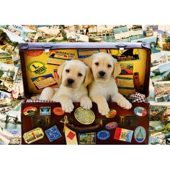 TWO TRAVEL PUPPIES 1000P