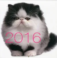 Calendrier 2016 / chats
