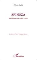 Spinoza, Problèmes de l'idée vraie