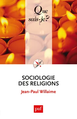 Livres Sciences Humaines et Sociales Sciences sociales Sociologie des religions, « Que sais-je ? » n° 2961 Jean-Paul Willaime