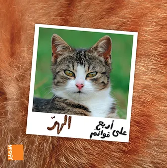 Le chat (arabe)